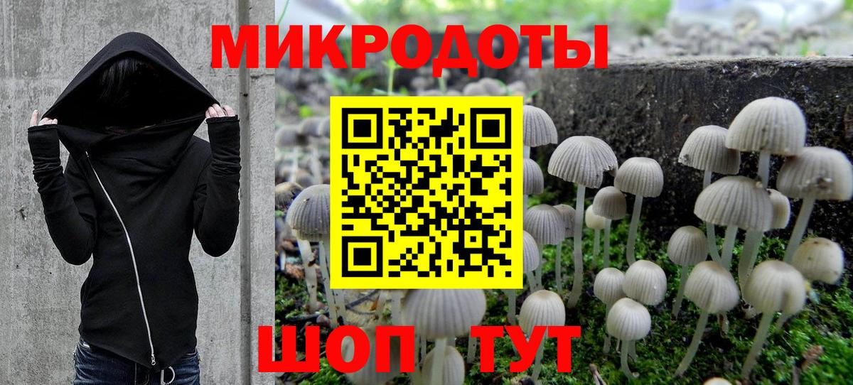 Псилоцибиновые грибы мицелий Донской