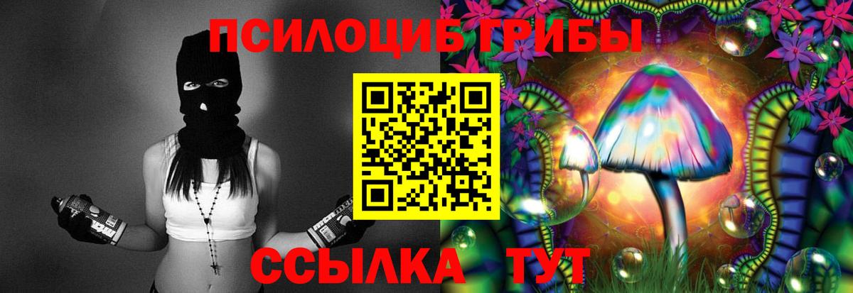 Донской  Псилоцибиновые грибы Psilocybine cubensis  Вход с VPN 